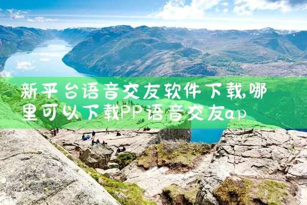 新平台语音交友软件下载