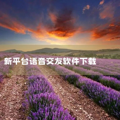 下载之家平台下载之家提供速聊3.0.8安卓版下载服务，明确标注支持Android系统。该版本可能为特定功能优化版本，用户需根据自身设备系统版本选择兼容版本。下载时需注意查看软件权限要求，避免过度授权导,