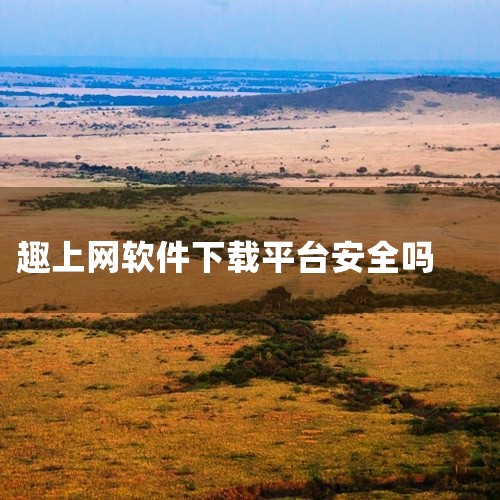 安装网络人的软件，如果是从官网下载的，则通常是安全的。以下是关于安装网络人软件安全性的详细解官网下载的安全性：官方渠道：从网络人的官方网站下载软件，可以确保软件来源的可靠性。安全检测：官方网站通常会对,