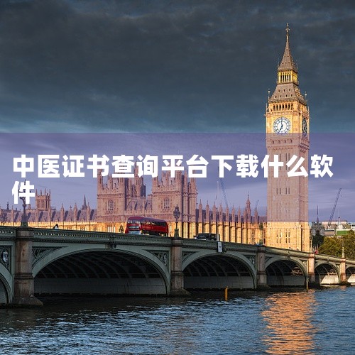 方式一：直接搜索网址 cert.21weccn.com，进入系统后填写身份证号码、真实姓名和图形验证码，即可下载电子证书。方式二：登录 中国中医人才教育培训网（www.zyyrcw-），输入姓名和证书|